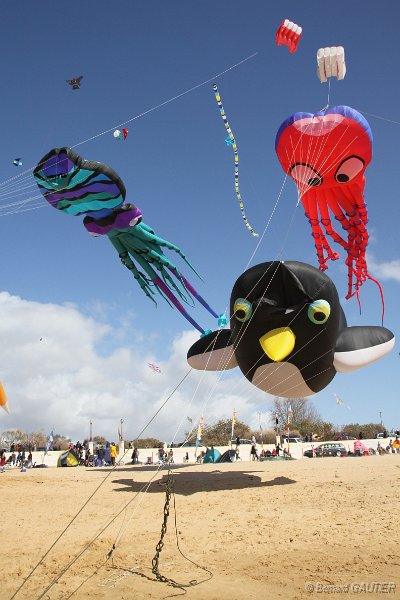 Festival Cerfs Volants Chatelaillon 2010_007.jpg
